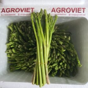 asparagus